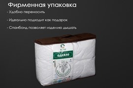 Одеяло бамбук поплин Реноме