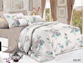 КПБ 2сп поплин Pure Cotton PC Клео <PC-224 Скидка>